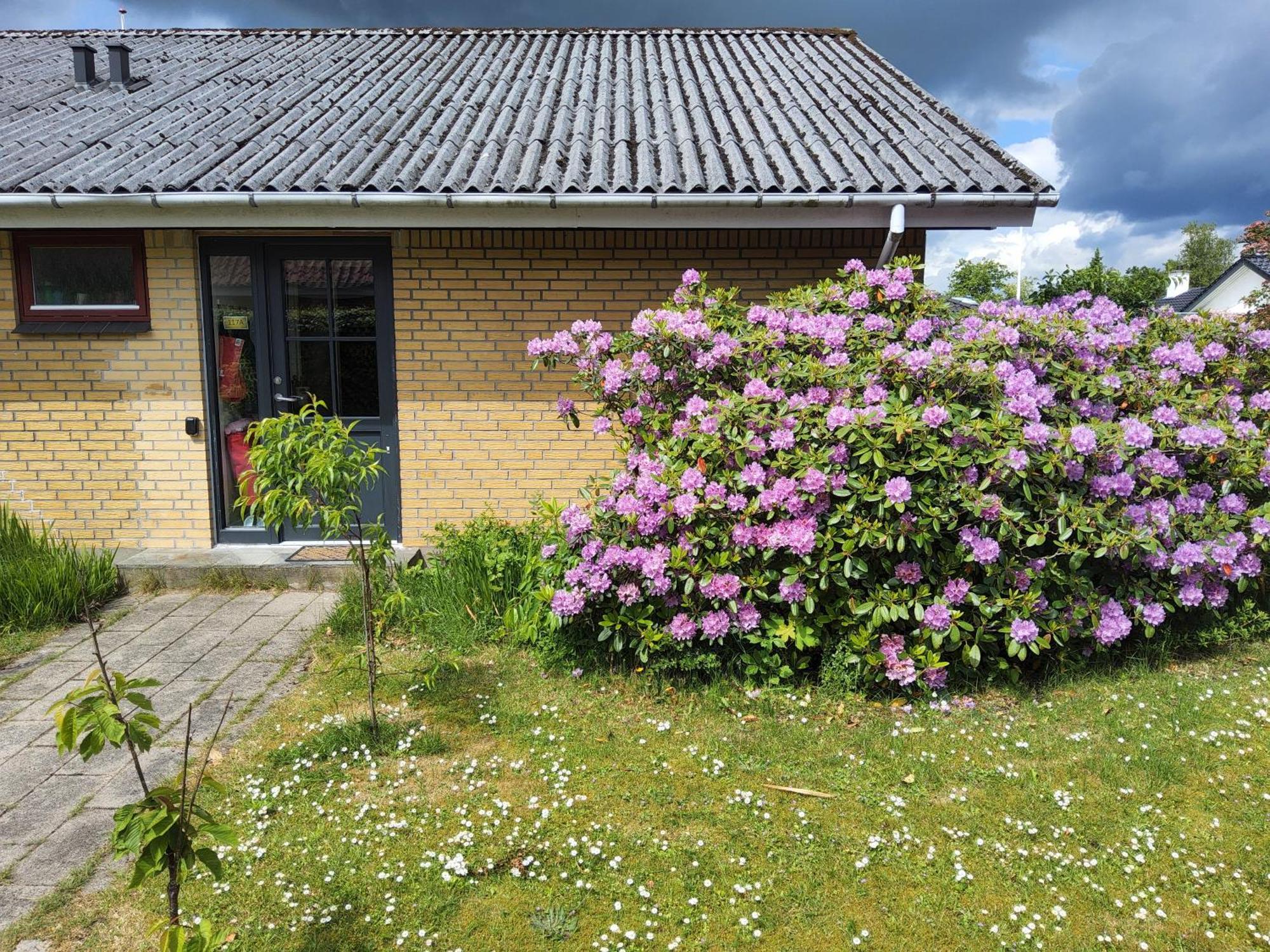 Family Friendly Apt B, 900M To Lego House, Parking, Legoland, Lalandia Биллунн Экстерьер фото